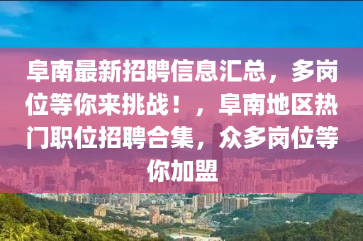 阜南最新招聘信息匯總，多崗位等你來挑戰(zhàn)！，阜南地區(qū)熱門職位招聘合集，眾多崗位等你加盟