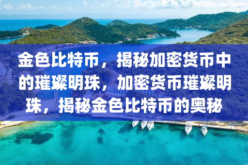 金色比特幣，揭秘加密貨幣中的璀璨明珠，加密貨幣璀璨明珠，揭秘金色比特幣的奧秘