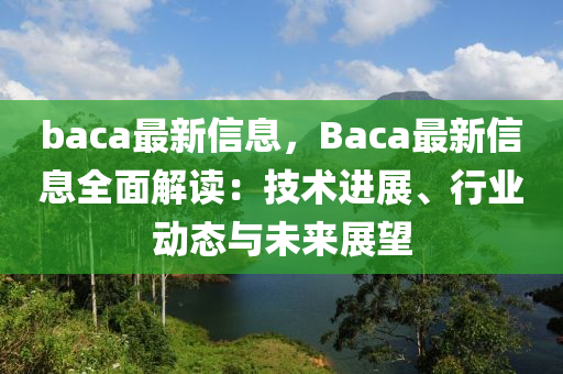 baca最新信息，Baca最新信息全面解讀：技術(shù)進(jìn)展、行業(yè)動(dòng)態(tài)與未來(lái)展望