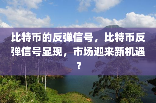 比特幣的反彈信號(hào)，比特幣反彈信號(hào)顯現(xiàn)，市場(chǎng)迎來新機(jī)遇？