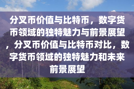 分叉幣價(jià)值與比特幣，數(shù)字貨幣領(lǐng)域的獨(dú)特魅力與前景展望，分叉幣價(jià)值與比特幣對(duì)比，數(shù)字貨幣領(lǐng)域的獨(dú)特魅力和未來(lái)前景展望