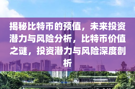 揭秘比特幣的預(yù)值，未來投資潛力與風險分析，比特幣價值之謎，投資潛力與風險深度剖析