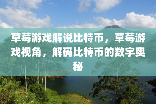 草莓游戲解說(shuō)比特幣，草莓游戲視角，解碼比特幣的數(shù)字奧秘