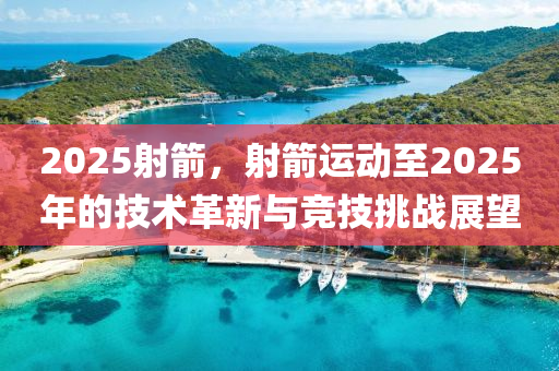 2025射箭，射箭運(yùn)動(dòng)至2025年的技術(shù)革新與競技挑戰(zhàn)展望