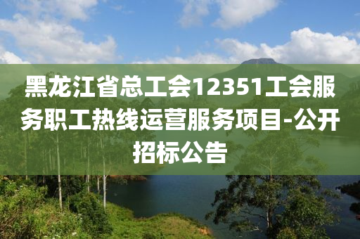 黑龍江省總工會12351工會服務(wù)職工熱線運(yùn)營服務(wù)項目-公開招標(biāo)公告