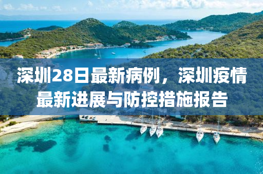 深圳28日最新病例，深圳疫情最新進展與防控措施報告