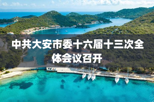 中共大安市委十六屆十三次全體會(huì)議召開