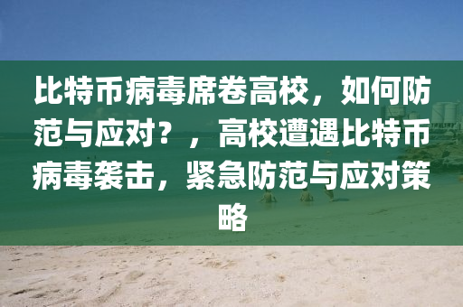 比特幣病毒席卷高校，如何防范與應(yīng)對？，高校遭遇比特幣病毒襲擊，緊急防范與應(yīng)對策略