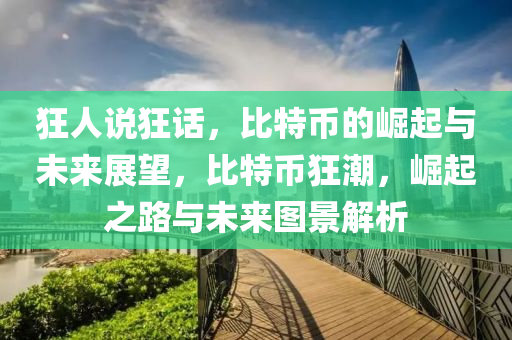 狂人說(shuō)狂話，比特幣的崛起與未來(lái)展望，比特幣狂潮，崛起之路與未來(lái)圖景解析