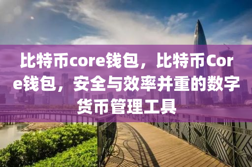 比特幣core錢包，比特幣Core錢包，安全與效率并重的數(shù)字貨幣管理工具