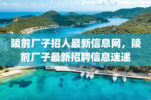 陵前廠子招人最新信息網(wǎng)，陵前廠子最新招聘信息速遞