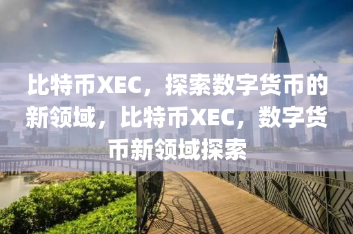 比特幣XEC，探索數(shù)字貨幣的新領(lǐng)域，比特幣XEC，數(shù)字貨幣新領(lǐng)域探索