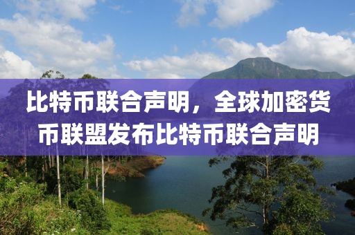 比特幣聯(lián)合聲明，全球加密貨幣聯(lián)盟發(fā)布比特幣聯(lián)合聲明