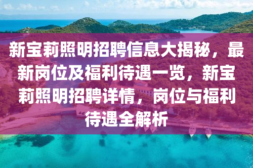 新寶莉照明招聘信息大揭秘，最新崗位及福利待遇一覽，新寶莉照明招聘詳情，崗位與福利待遇全解析