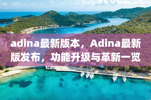 adina最新版本，Adina最新版發(fā)布，功能升級與革新一覽