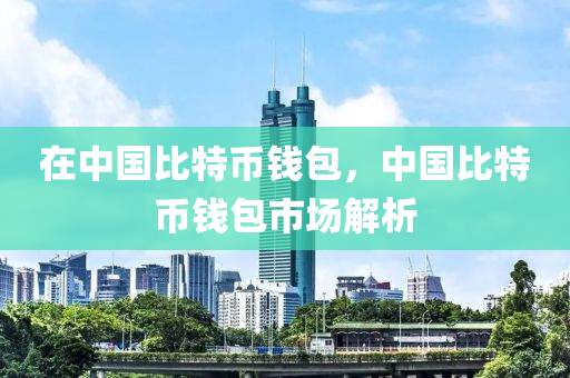 在中國(guó)比特幣錢(qián)包，中國(guó)比特幣錢(qián)包市場(chǎng)解析