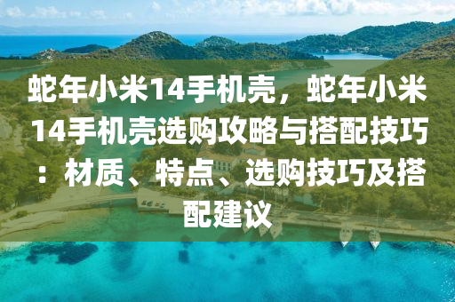 蛇年小米14手機殼，蛇年小米14手機殼選購攻略與搭配技巧：材質(zhì)、特點、選購技巧及搭配建議