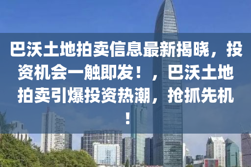 巴沃土地拍賣信息最新揭曉，投資機會一觸即發(fā)！，巴沃土地拍賣引爆投資熱潮，搶抓先機！