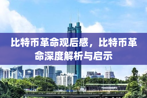 比特幣革命觀后感，比特幣革命深度解析與啟示