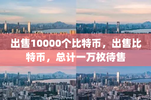 出售10000個(gè)比特幣，出售比特幣，總計(jì)一萬枚待售