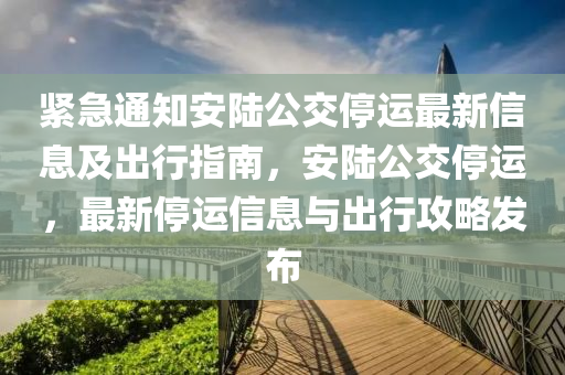 緊急通知安陸公交停運(yùn)最新信息及出行指南，安陸公交停運(yùn)，最新停運(yùn)信息與出行攻略發(fā)布