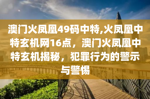 澳門火鳳凰49碼中特,火鳳凰中特玄機網(wǎng)16點，澳門火鳳凰中特玄機揭秘，犯罪行為的警示與警惕