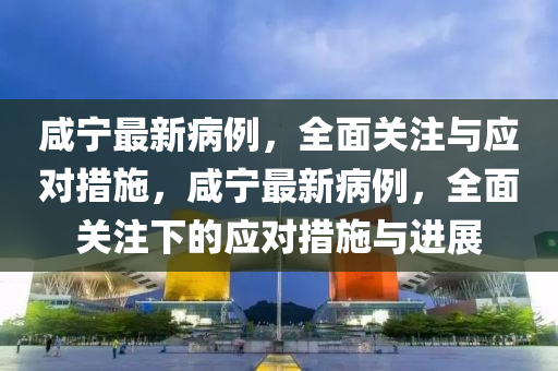 咸寧最新病例，全面關(guān)注與應(yīng)對措施，咸寧最新病例，全面關(guān)注下的應(yīng)對措施與進(jìn)展