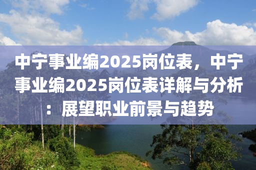 中寧事業(yè)編2025崗位表，中寧事業(yè)編2025崗位表詳解與分析：展望職業(yè)前景與趨勢