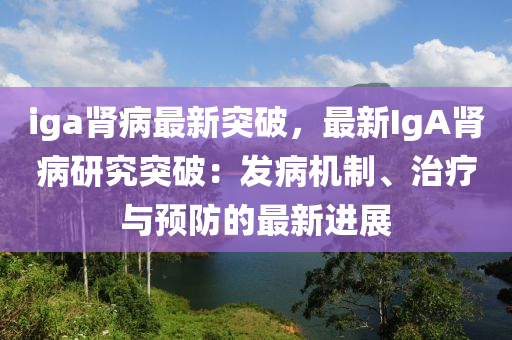 iga腎病最新突破，最新IgA腎病研究突破：發(fā)病機制、治療與預(yù)防的最新進展