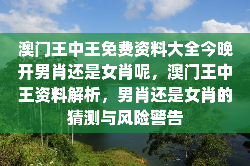 澳門(mén)王中王免費(fèi)資料大全今晚開(kāi)男肖還是女肖呢，澳門(mén)王中王資料解析，男肖還是女肖的猜測(cè)與風(fēng)險(xiǎn)警告