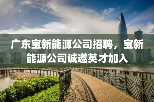 廣東寶新能源公司招聘，寶新能源公司誠邀英才加入