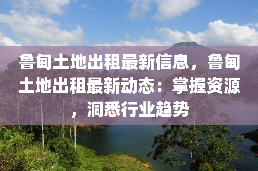 魯?shù)橥恋爻鲎庾钚滦畔ⅲ數(shù)橥恋爻鲎庾钚聞討B(tài)：掌握資源，洞悉行業(yè)趨勢