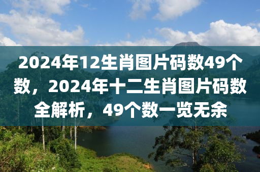 2024年12生肖圖片碼數(shù)49個數(shù)，2024年十二生肖圖片碼數(shù)全解析，49個數(shù)一覽無余