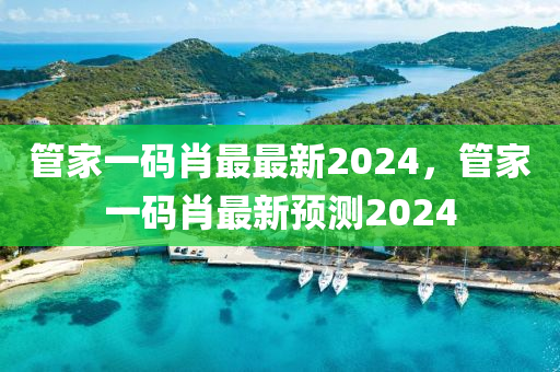 管家一碼肖最最新2024，管家一碼肖最新預(yù)測(cè)2024