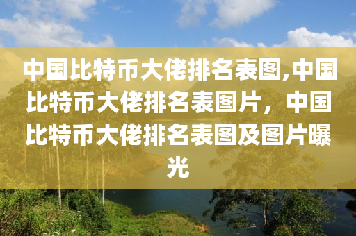 中國(guó)比特幣大佬排名表圖,中國(guó)比特幣大佬排名表圖片，中國(guó)比特幣大佬排名表圖及圖片曝光