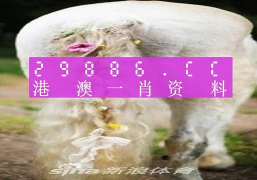 澳門(mén)一肖一碼100準(zhǔn)免費(fèi)資料,澳門(mén)一肖一碼100準(zhǔn)免費(fèi)資料四不像，澳門(mén)一肖一碼100%準(zhǔn)確免費(fèi)資料揭秘，警惕四不像的詐騙陷阱。