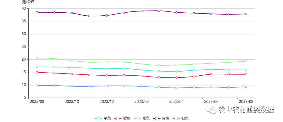 2023年來(lái)賓西瓜最新行情，價(jià)格波動(dòng)及市場(chǎng)分析，2023年來(lái)賓西瓜市場(chǎng)行情解析，價(jià)格波動(dòng)與市場(chǎng)動(dòng)態(tài)一覽