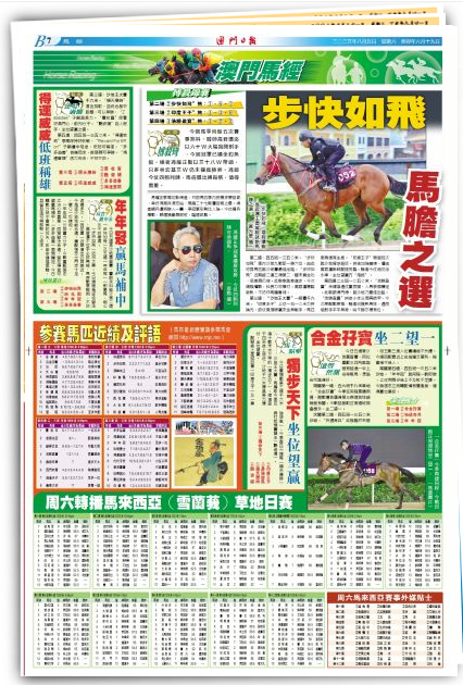 2024澳門(mén)特馬全年資料，澳門(mén)特馬全年資料解析 2024年展望