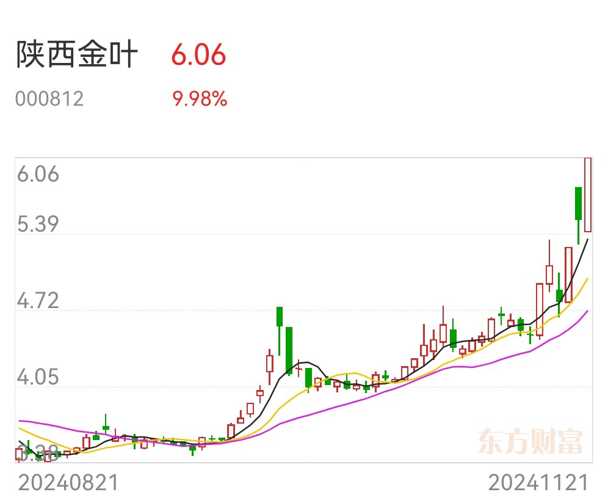 陜西金葉最新消息，陜西金葉最新動(dòng)態(tài)揭秘