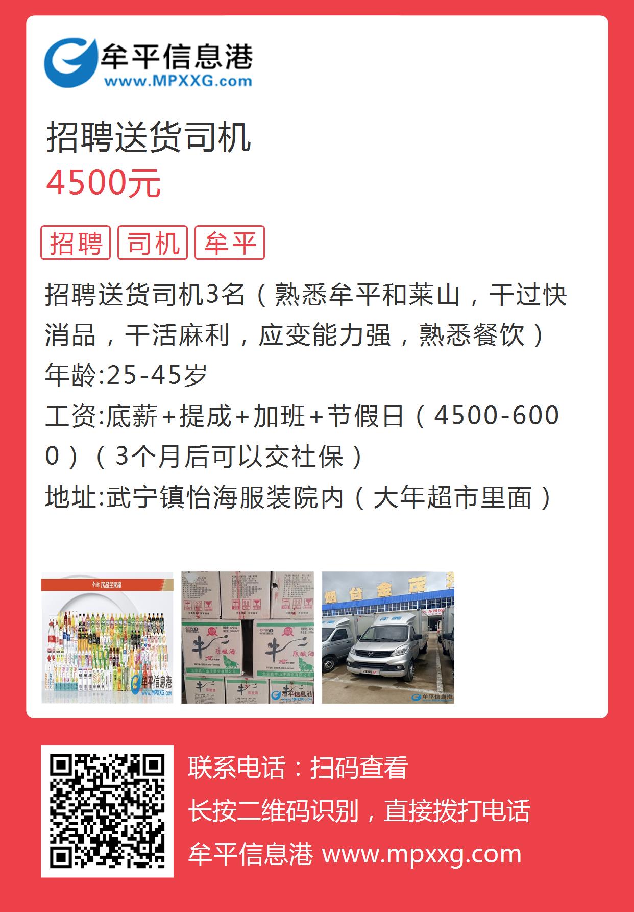 西平最新司機(jī)招聘，西平最新司機(jī)招聘信息全解析：背景、要求、待遇及流程詳解