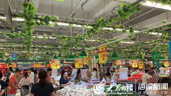 山東壽光蔬菜市場最新價格動態(tài)，品質與行情齊飛，壽光蔬菜市場，品質行情共舞，最新價格動態(tài)盤點